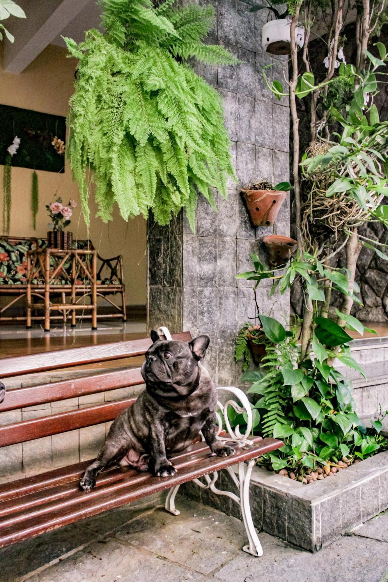 Hotel Primavera Betim Ngoại thất bức ảnh